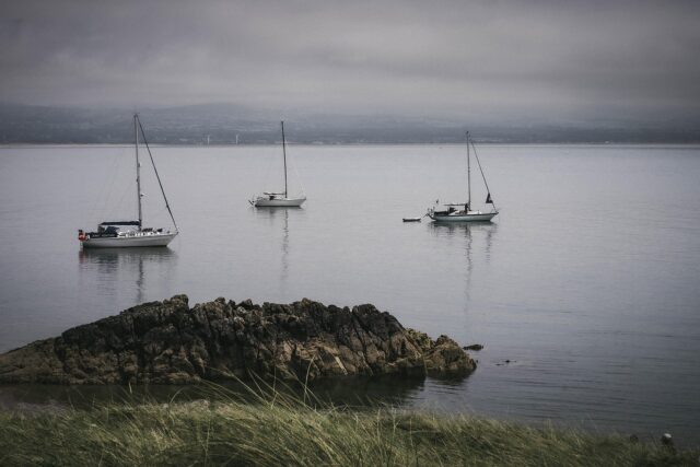 DZ Fest Performance Algerian artists performing at DZ Fest in London
