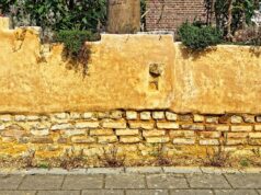 Unveiling Hak Lmalh: Exploring the Roots and Significance of This Moroccan Tradition Moroccan men engaged in Hak Lmalh debate, traditional setting with books and tea