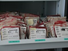 Un Analyse Approfondie : La Diaspora Nord-Africaine en France et Son Impact analyse approfondie diaspora nordafricaine featured image