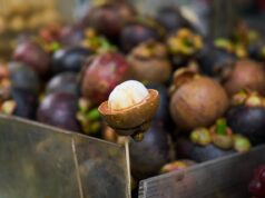 Unveiling Singapore’s Vibrant Hawker Scene Enriched by Algerian, Tunisian, and Moroccan Vendors Singapore hawker centre with Algerian, Tunisian, and Moroccan vendors offering exotic dishes