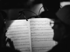 DZ Fest: Celebrating Algerian Culture in the UK Through Art and Music Crowded scene at DZ Fest featuring Algerian musicians performing on stage with a vibrant audience