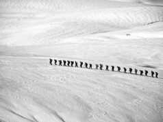 Conquering Jebel Toubkal: A Unifying Adventure for the Maghrebi Community Maghrebi community hiking Jebel Toubkal with stunning mountain backdrop