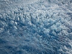 Celebrating the Culinary Heritage of South Tunisia: An Interview with Malek Labidi Malek Labidi cooking traditional South Tunisian dishes