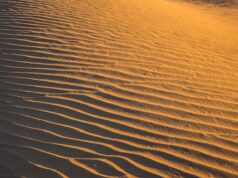 Exploring Morocco’s Amazigh Revival: Identity and Cultural Heritage Amazigh woman wearing traditional Berber clothing, seated amidst Moroccan landscape