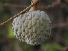 Behind the Scenes at Condé Nast Traveller’s Fashion Shoot in Morocco Condé Nast Traveller team filming a Moroccan fashion shoot in a traditional setting