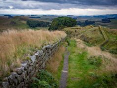 Journey Through Time: Exploring North African Roman Ruins A family exploring the ancient Roman ruins of Leptis Magna in North Africa