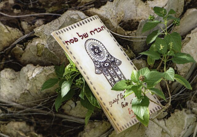Vine leaves filled with aromatic Tunisian rice dish, Yabrak, on Passover table