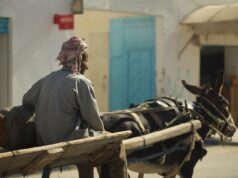 Beyond Tangier’s Souks: Bringing Authentic Algerian-Tunisian Home Decor to Your Living Space Algerian-Tunisian home decor items in Tangier's souks