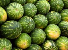 Exploring Bahraini Cuisine: A Fusion of Arab, Iranian, and Indian Flavors Family enjoying a meal of traditional Bahraini dishes in a colorful outdoor market