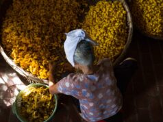 Exploring Amazigh Culture in Morocco: Revival and Identity Shift Amazigh woman weaving traditional Berber rug in rural Morocco