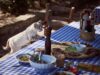 Three Tunisian Recipes to Elevate Your Mediterranean Diet Three vibrant Tunisian dishes on a rustic tabletop, showcasing fresh seafood and spices