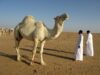 Empowering Women through Art: Highlighting 50 Arab Women Redefining Modern Art in Saudi Arabia Women artists showcasing modern art installations at an exhibition in Saudi Arabia