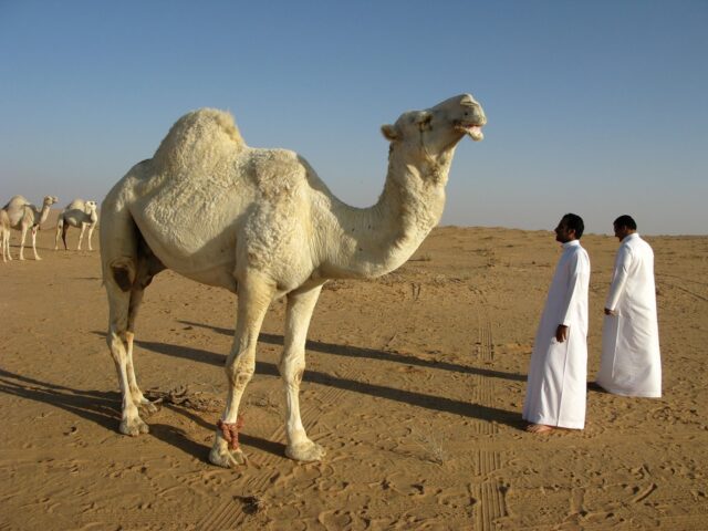 Women artists showcasing modern art installations at an exhibition in Saudi Arabia