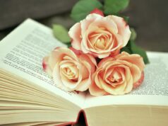 Exploring Revolutionary Literature by Arab Women: A Book Lovers Guide Women reading revolutionary Arabic books in a cozy living room setting