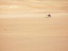 Capitalizing on Renewed Interest: The Rising Popularity of North African Tourism Amid Global Uncertainty Family enjoying a scenic Moroccan desert tour amidst global uncertainty