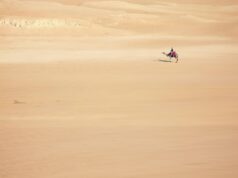 Capitalizing on Renewed Interest: The Rising Popularity of North African Tourism Amid Global Uncertainty Family enjoying a scenic Moroccan desert tour amidst global uncertainty