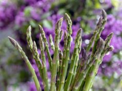 Revisiting Our Roots: Vijaya Selvaraju’s Green Goddess Asparagus Couscous Salad – A Modern Twist on a Classic Maghrebi Dish Vijaya Selvaraju preparing Green Goddess Asparagus Couscous Salad, serving a colorful dish on a rustic table