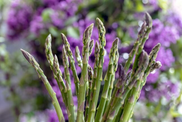 Vijaya Selvaraju preparing Green Goddess Asparagus Couscous Salad, serving a colorful dish on a rustic table
