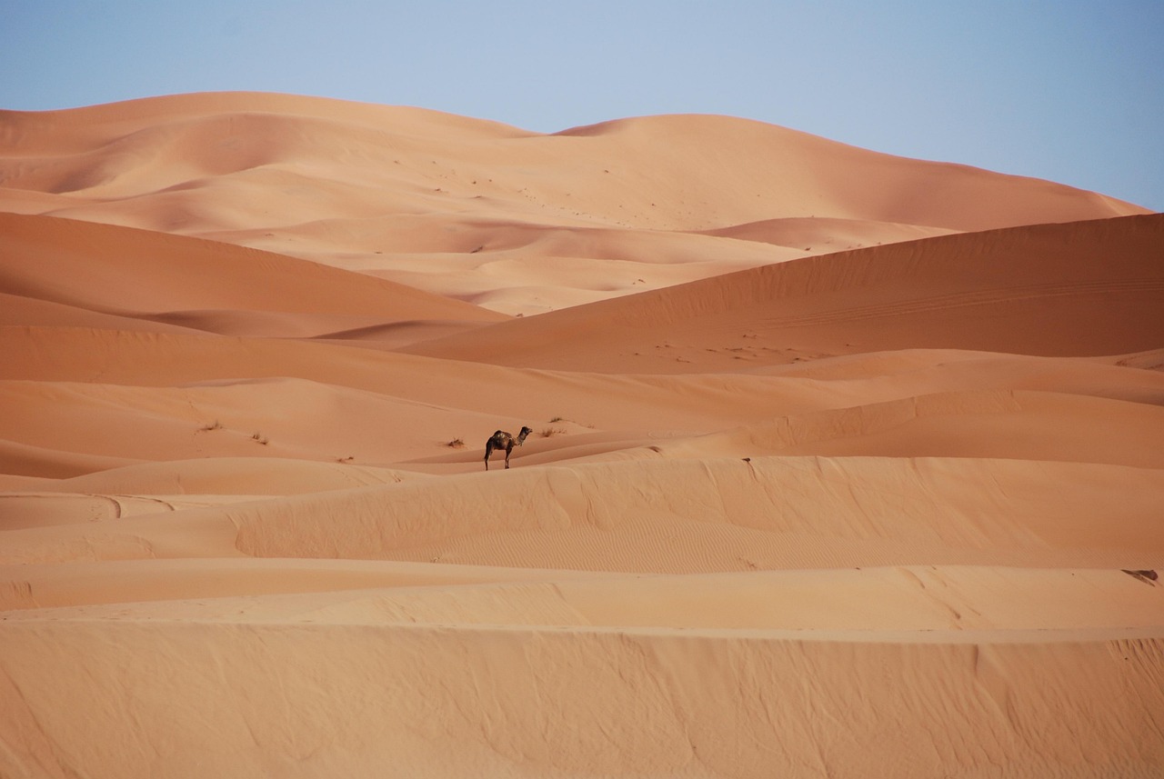 Exploring Morocco’s Amazigh Revival: From Ancient Roots to Modern Identity