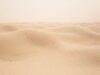 Discovering South Tunisia’s Culinary Legacy: Malek Labidi’s Recipe Archive Malek Labidi's recipe archive showcases South Tunisia's culinary legacy