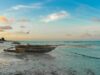 Exploring Safari-and-Beach Holidays: Africa’s Richest Island and Kenya Airways Attract North American Tourists Couple enjoying a safari-and-beach holiday on Zanzibar island, with Kenya Airways plane in the background