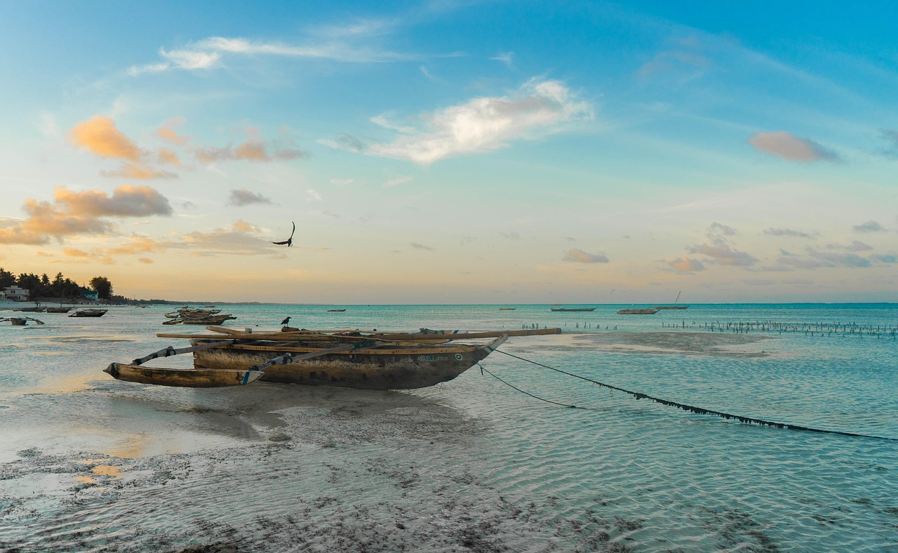 Exploring Safari-and-Beach Holidays: Africa’s Richest Island and Kenya Airways Attract North American Tourists