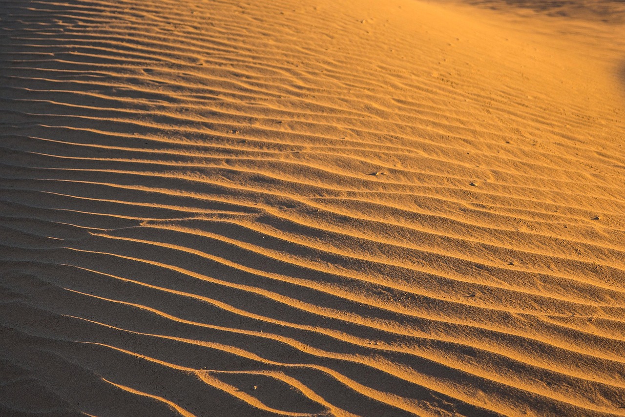 Exploring the Future of Amazigh Culture in Morocco: Opportunities and Challenges