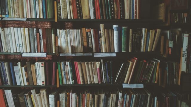 Revolutionary Literature by Arab Women - Book Collection Eight must-read books of revolutionary literature by Arab women on a bookshelf