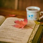 Revolutionary Novels and Stories by Arab Women: A Reading Guide for the Maghrebi Diaspora