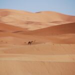Highlighting Amazigh Culture in Morocco: Challenges and Future Prospects