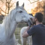 Discovering Salma Tahri’s World: A Journey through Moroccan Heritage, Arabian Horses, and Modest Fashion