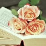 Revolutionary Novels and Stories by Arab Women: A Fulfilling Read for the Maghrebi Diaspora