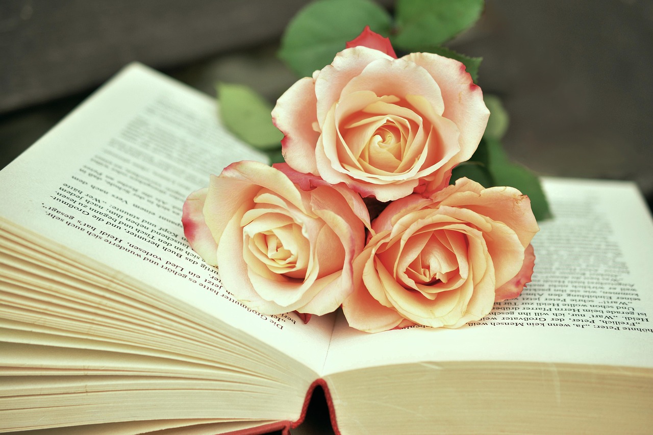 Revolutionary Novels and Stories by Arab Women: A Fulfilling Read for the Maghrebi Diaspora