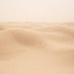 Rediscovering the Ancient Phoenician Heritage in Tunisia: A Journey Through Time for the Maghrebi Diaspora