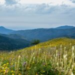 Unraveling the Mystery of ‘Khawa Khawa’ in North African Folklore