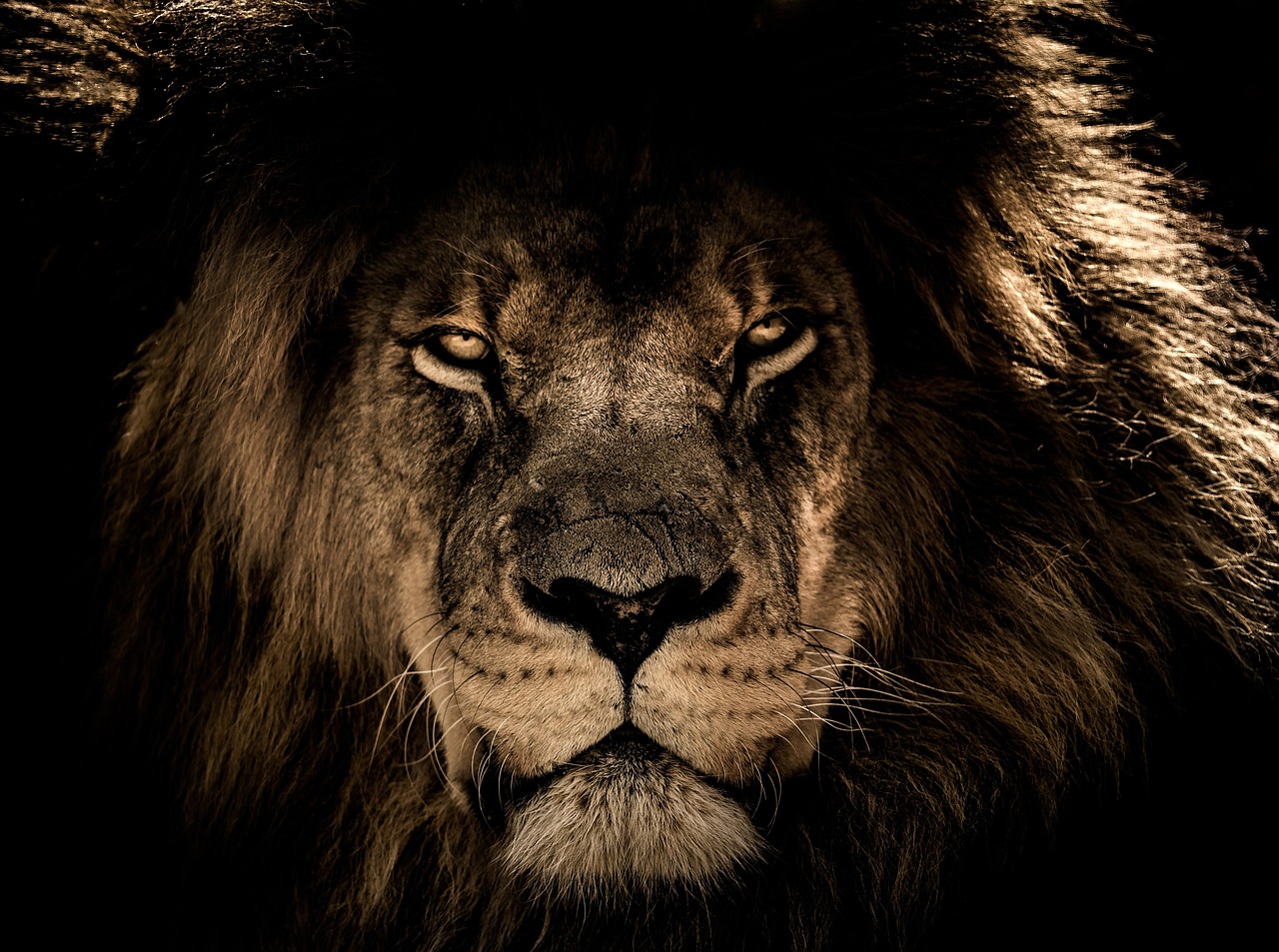 Top African Safari Lodges for an Unforgettable Experience